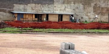Bamenda: trois mois après, encore et toujours les pelles et les pioches