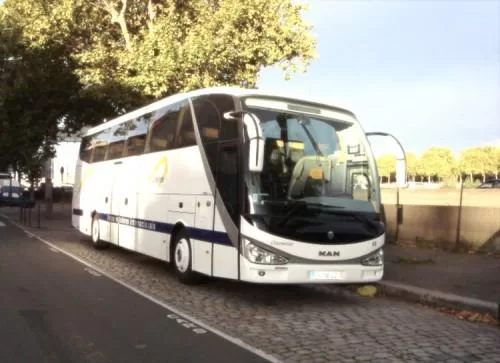 Can féminine 2016 : 17 milliards de Fcfa pour doter Yaoundé et Limbé de bus