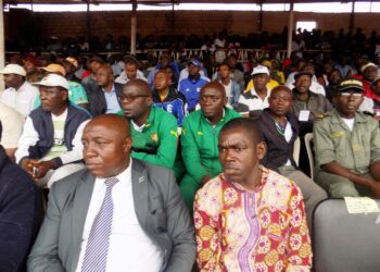 Lions U20 : Ashu Bessong en prospection à l’Ouest