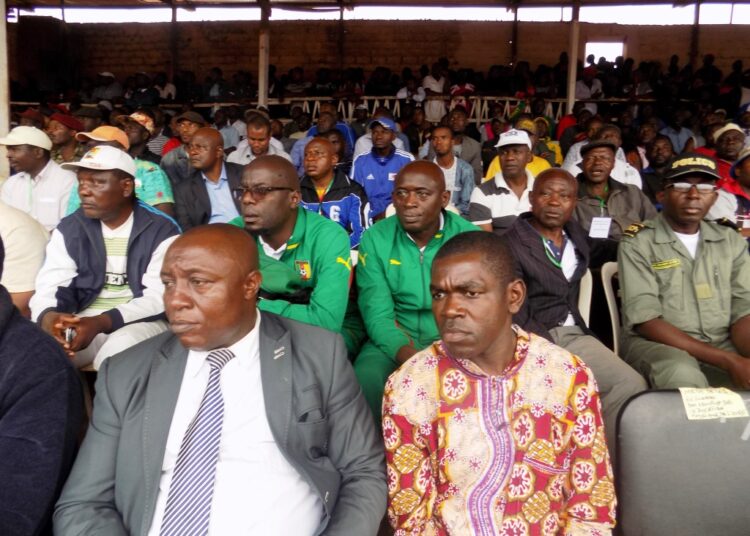 Lions U20 : Ashu Bessong en prospection à l’Ouest