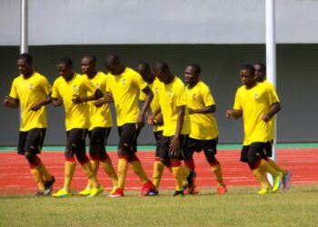 Madagascar 2017 : derniers réglages dans la tanière