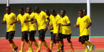 Madagascar 2017 : derniers réglages dans la tanière