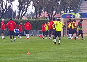 Lions : Broos se concentre sur la finition