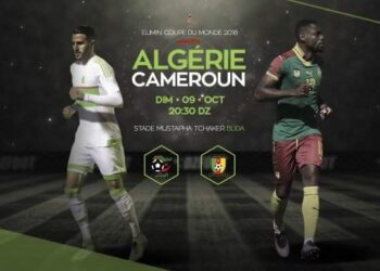 Thierry Mettomo: « les Lions doivent s&rsquo;adapter à un environnement hostile»