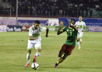 Algérie – Cameroun : les Lions peuvent faire beaucoup mieux (1-1)