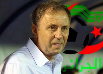 Algérie : les Fennecs ne veulent plus de Rajevac