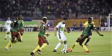 Algérie – Cameroun: Moukandjo, Broos, Nkoulou en vidéo
