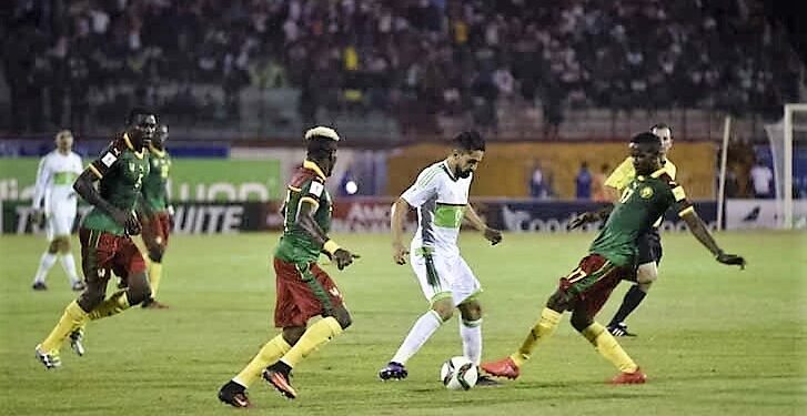 Algérie – Cameroun: Moukandjo, Broos, Nkoulou en vidéo