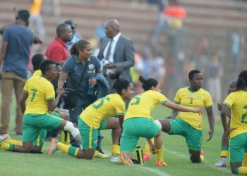 Afrique du Sud : trois bleues en renfort