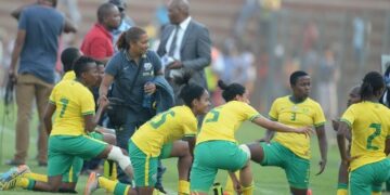 Afrique du Sud : trois bleues en renfort