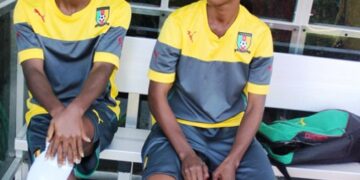 Lionnes : deux autres professionnelles en renfort