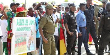 L&rsquo;arrivée des Lions en images