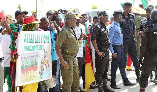 L&rsquo;arrivée des Lions en images