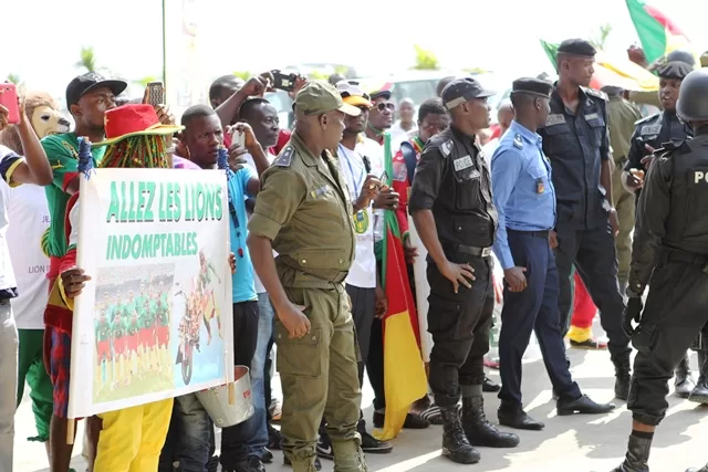 L&rsquo;arrivée des Lions en images