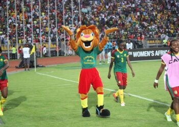 Cameroun – Ghana (1-0) en images