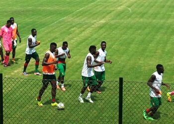 Lions Indomptables : quelques pro déjà en cage