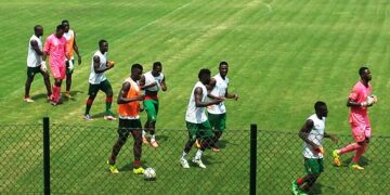 Lions Indomptables : quelques pro déjà en cage