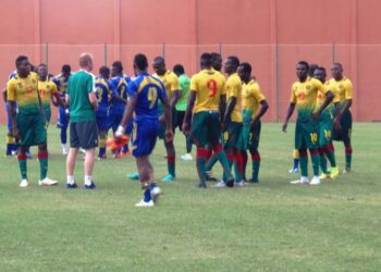 Amical : les Lions butent sur UMS de Loum