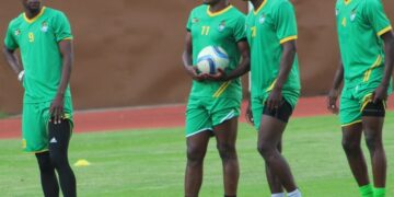 Amical : le Zimbabwe attendu ce Lundi à Yaoundé