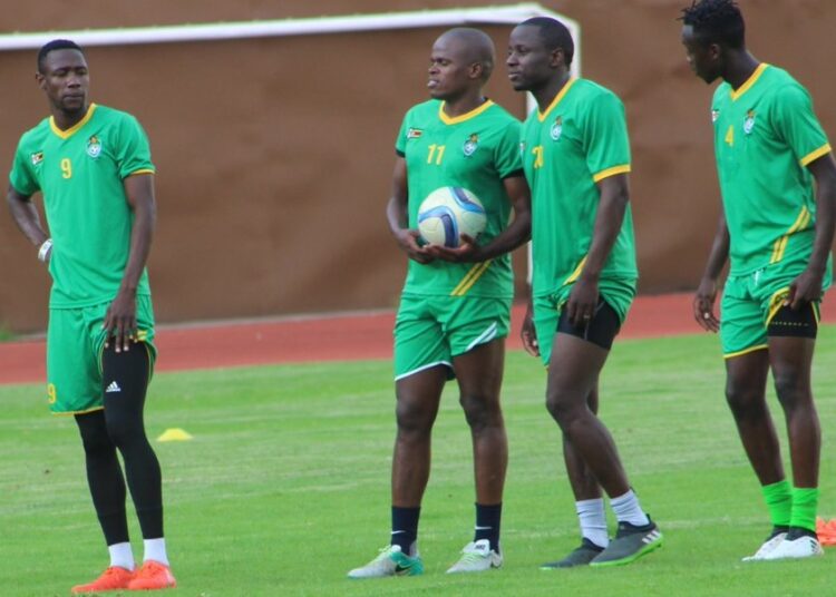 Amical : le Zimbabwe attendu ce Lundi à Yaoundé