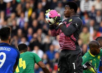 Lions Indomptables : quand Hugo Broos encense Fabrice Ondoa