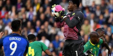 Lions Indomptables : quand Hugo Broos encense Fabrice Ondoa