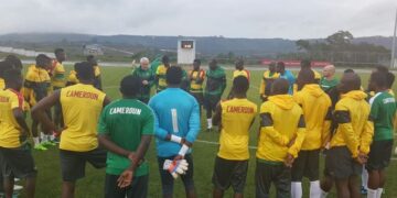 Ambiance dans la tanière : les Lions dans le vif du sujet