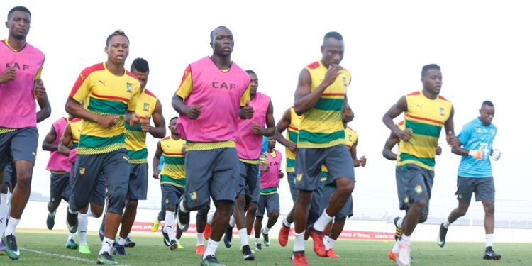 Moanda : les Lions s&rsquo;entraînent en toute sérénité