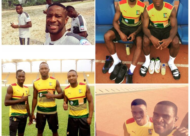 #LeToli : ambiance de feu dans la tanière des Lions