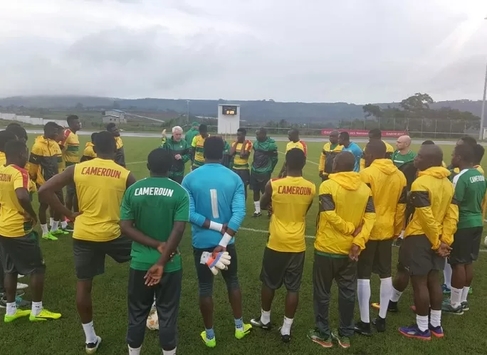 Ambiance dans la tanière : les Lions dans le vif du sujet