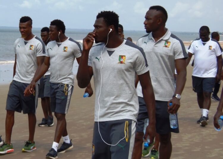 Moanda : les Lions profitent du quartier libre