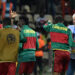 Lions indomptables: Les petits miracles de Hugo Broos