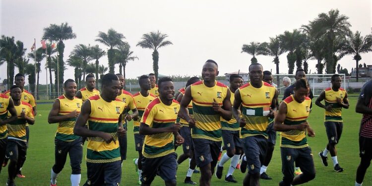 Lions Indomptables: Aussitôt arrivés à Libreville, aussitôt entraînés