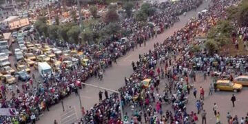L&rsquo;accueil des Lions Indomptables dans les rues de Yaoundé (vidéo)