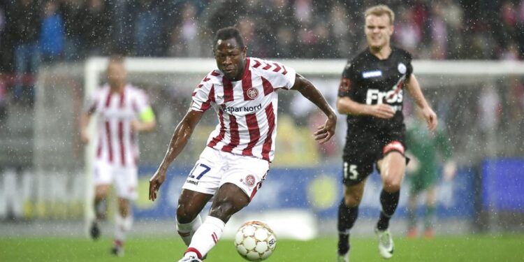 Bassogog, 18 mois de pur plaisir au Danemark