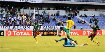 Les Lionceaux, condamnés à gagner