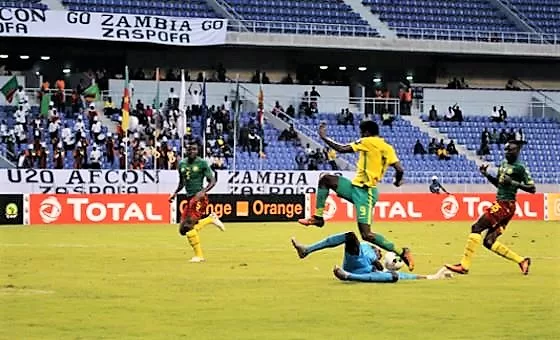 Les Lionceaux, condamnés à gagner