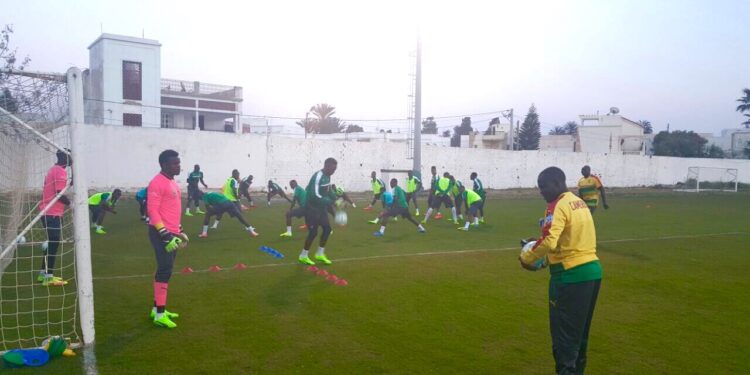 Monastir : première séance d’entraînement des Lions