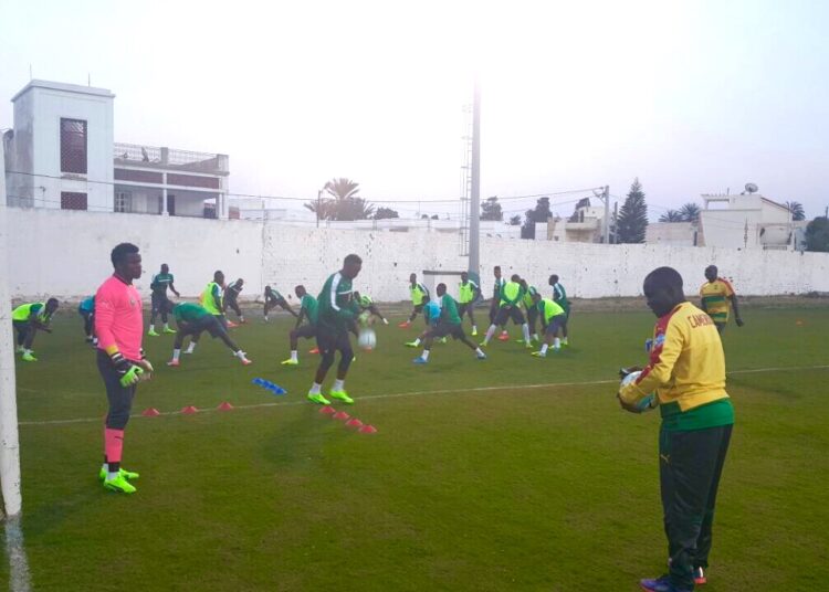 Monastir : première séance d’entraînement des Lions