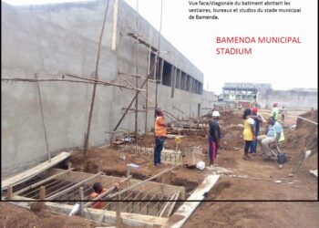 Gazons synthétiques: Prime Potomac assure, preuve à l&rsquo;appui, que ça avance