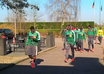 GUI – CAM : les Lions en promenade dans les rues de Bruxelles