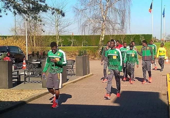 GUI – CAM : les Lions en promenade dans les rues de Bruxelles