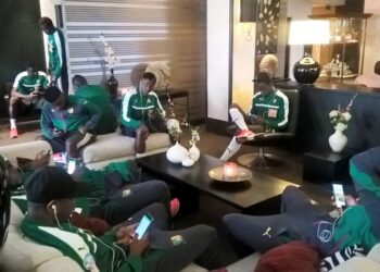 Bruxelles : les Lions ont été séquestré pour facture impayée