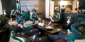 Bruxelles : les Lions ont été séquestré pour facture impayée