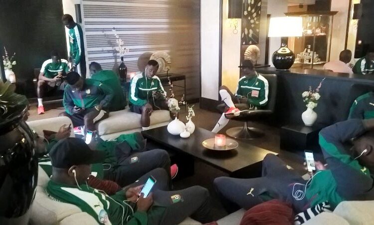 Bruxelles : les Lions ont été séquestré pour facture impayée