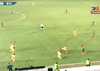Cameroun – Guinée: 1-2