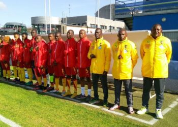 Amical : les Lionceaux écrasent Guingamp