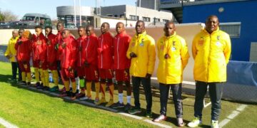 Amical : les Lionceaux écrasent Guingamp