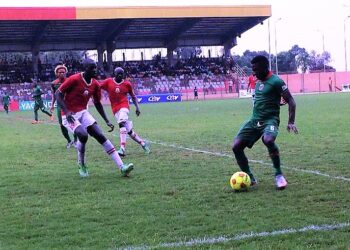 L1 : Apejes brille, Bamboutos scintille, Coton sombre