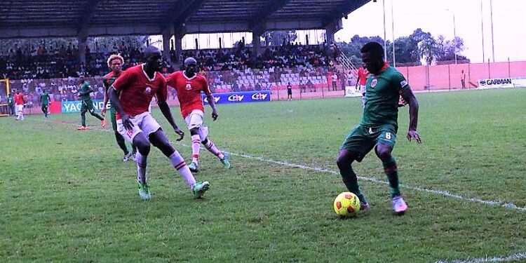 L1 : Apejes brille, Bamboutos scintille, Coton sombre